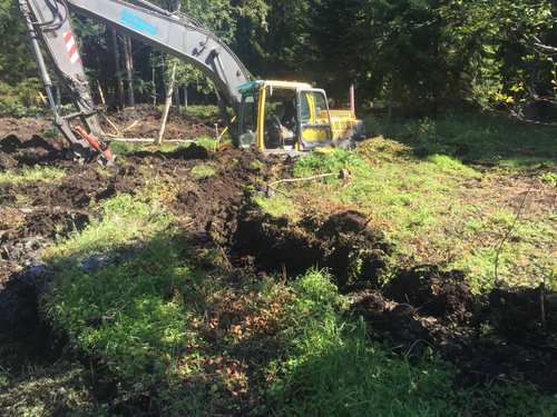 Gul grävmaskin bland grönska