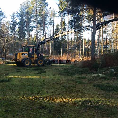 Gul grävskopa gräver i en trädgård